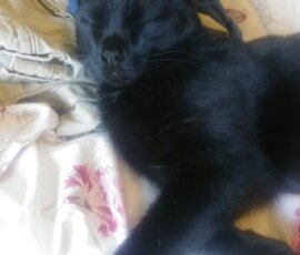 FM0 FC000000000:zzzzzz0 f15f e0 0 06404683ba3601040 c30141255 55 0235 fe1df 0 0 0 0 0 0 0 01df11a1116b 029 01c711941162 029 01af118f1164 0 1 0197118a1168 0dd 01cd11841163 029 01d31182115b 029 01d911a61179 028 01df11931164 028 01e511aa1174 028 01eb1192115e 028 01f111941163 028 01f711911163 029 01fd11871158 028 01df119f1165 028 01df11aa1168 028 0