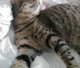 FM0 FC010000000:zzzzzz011162 00 0 05f04224503ea1040 c30141255 55 02401091df 0 0 0 0 0 0 0 01df416a5101 01c 01c740ef509e 01c 01af40925054 0 0 019740955053 0e5 017f40aa505d 01b 016740c55067 01c 014f4097504e 01c 016d407c503a 01c 0172408a5043 01b 0177409c504e 01b 017c40dd506f 01b 018140dd5077 01b 018640ee5079 01b 018b40c35061 01b 019040ba505e 01b 018140df5078 01b 018140f35085 01b 0