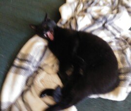 FM0 FC001001001:zzzzzz0 d168 00 0 05f04224503ea1040 c3012e1f3 55 025a1721f2 0 0 0 0 0 0 0 01f211541145 013 01da11551144 013 01c2115e1141 0 1 01aa1155113f 0dd 01c8114f113c 013 01cd11541139 012 01d2114f1139 013 01d7115c1142 012 01dc11631146 013 01e1115a113d 013 01e611531142 013 01d711531142 013 01d7114d1143 013 0